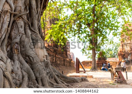 Unseen Thailand ,Head of Sandstone Buddha in The Tree Roots at Wat Mahathat