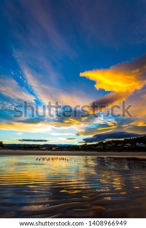 Flock of birds resting in the water near the shore. Pacific ocean, New Zealand, South Island. Incredible clouds. Quiet empty beach, evening twilight,  Concept photo, eco and healthy tourism