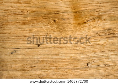 Isolated wood texture of oak close-up. Raw wood background. Copy space. Royalty-Free Stock Photo #1408972700