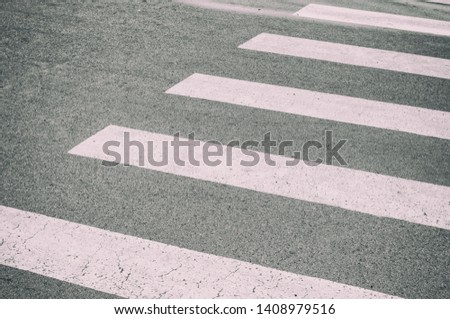 Zebra crossing painted on the asphalt, detail of a signal circulation, traffic information for pedestrians and drivers, security in concrete jungle concept