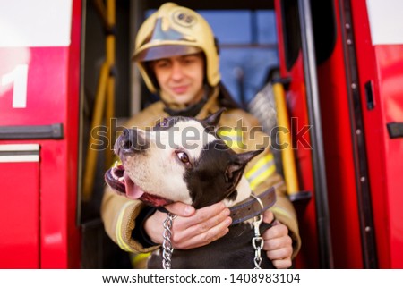 Picture of man fireman with lifeguard dog