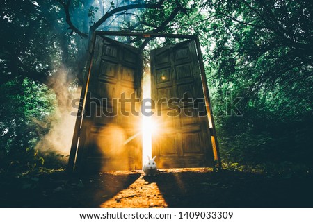 The fairytale door with back light in the mystic forest. White rabbit sit between the door. Royalty-Free Stock Photo #1409033309