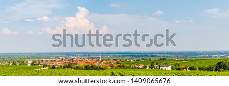 Vineyard landscape on Sunny summer day. Vineyards Palatinate region, German Wine Road, Rhineland Palatinate, Germany, banner
