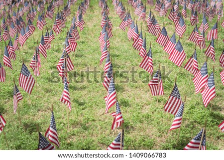 Large group of tiny American flags in a field commemorating a national holiday, Memorial Day, Veterans, Independence, 9/11, etc. Row of flags on the grass in the park tribute