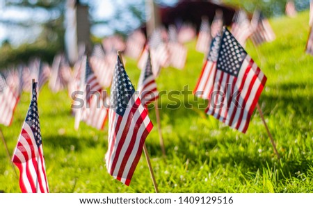 Memorial Day tribute. Small American flags on a green grass in park. 
