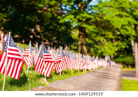 Memorial Day celebration.  Small American flags on a green grass in park. 