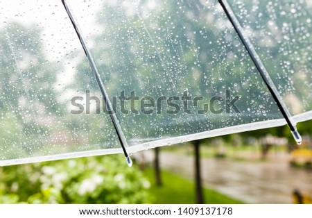 Close up Transparent Umbrella with water drops during the rain with green leaves tree on the blur background. Rainy weather at spring, summer