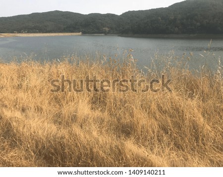 View of lake Chesbro in California