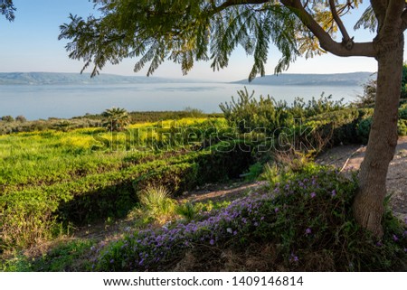 Mount of Beatitudes on the Sea of Galilee (Lake Tiberias) where Jesus delivered the Sermon on the Mount. Royalty-Free Stock Photo #1409146814