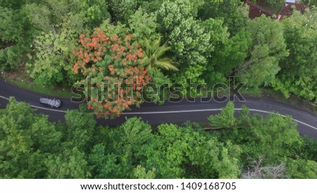 country road view from above with aerial view and drone camera over the forest and trees in Asia and infrastructure concept