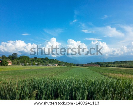 Green fields with vibrant blue sky