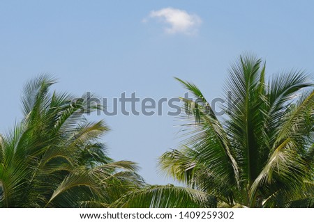 a part of coconut trees with blue sky and cloud background