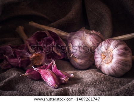 A few heads of fresh garlic on the background of a coarse gray napkin. Selective focus. Blurred background. Vintage, rustic motifs. Still life. Low key lighting.