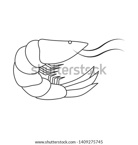 Isolated object of prawn  and creature  sign. Collection of prawn  and fresh  stock vector illustration.