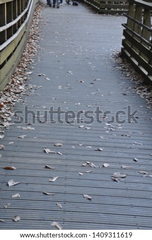 fallen leaves on the wooden road