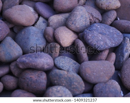 Color pebble stone in background with small trees