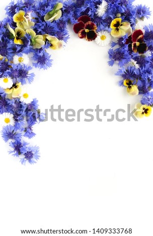 Border,  frame,  from blue flowers cornflowers and pansy flowers  pattern on white background. top view. copy space