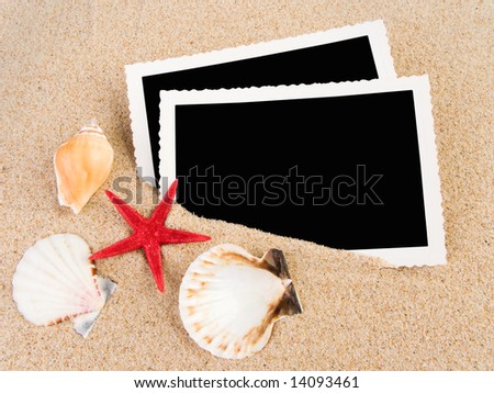 Pictures in a beach concept. Vacation memories.