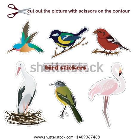vector set with bird stickers