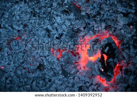 Big cracked piece of smoldering firewood log with red flame inside and gray ashes background. Burnt campfire texture closeup. Natural burning wooden coal surface.