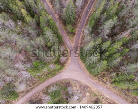 Crossroad in the forest in Norway during spring