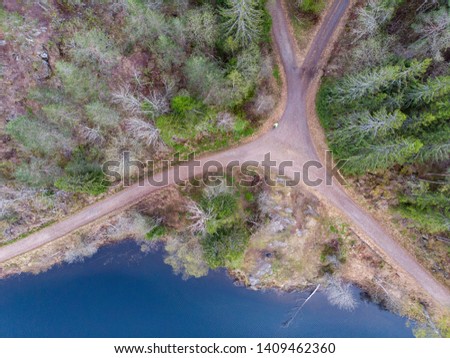Crossroad in the forest close to a lake shore in Norway during spring