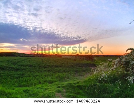 Sunset over English countryside in summer (landscape)