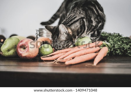 Cats, vegetables and fruits. Cats photographed on a table in home studio.