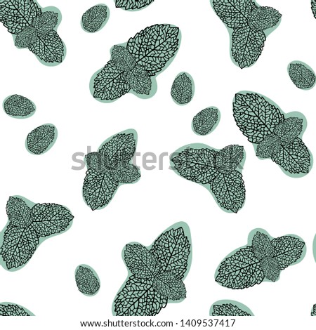 Green mint leaf background. Ecology mint pattern design plant illustration