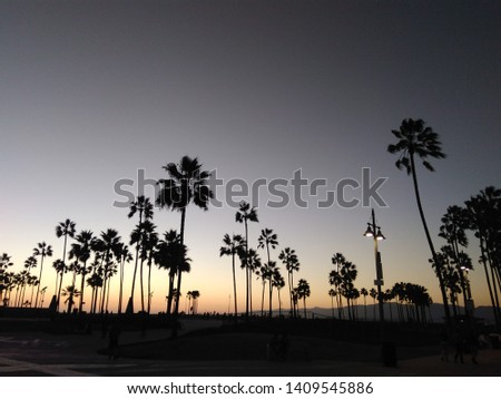 Venice beach in California at sunset