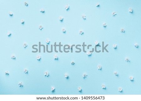 Daisy pattern. Top view. Flat lay. Floral pattern of white chamomile flowers on blue background. Summer concept.