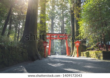 Torii or Japanese temple gate in Hakone Shrine at Lake Ashi at Hakone city, Kanagawa prefecture, Japan Royalty-Free Stock Photo #1409572043
