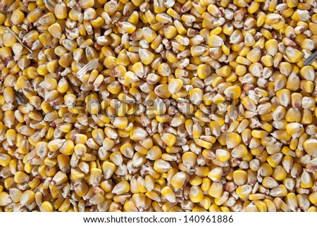 Corn seeds background