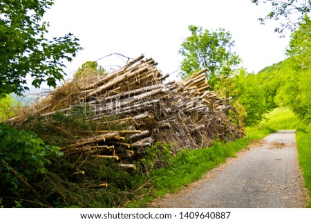Tree stacks by deforestation in Bavaria, Germany