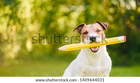 Back to school idea concept with funny dog holding big pencil