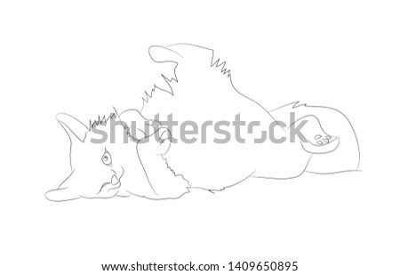 vector illustration of a cat, which lies drawing lines, vector, white background