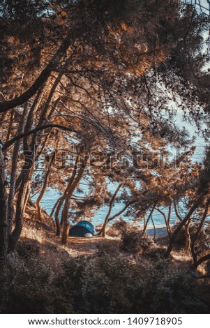 Tent in the forest at Burgaz island, Turkey