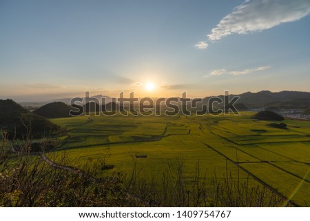 Landscape of canola fields, the famous place in louping, yunnan,china. During the sunset in the spring.