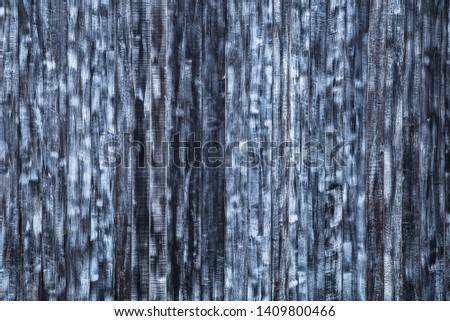 Wood texture or wood background. Wood for interior exterior decoration and industrial construction concept design. 
