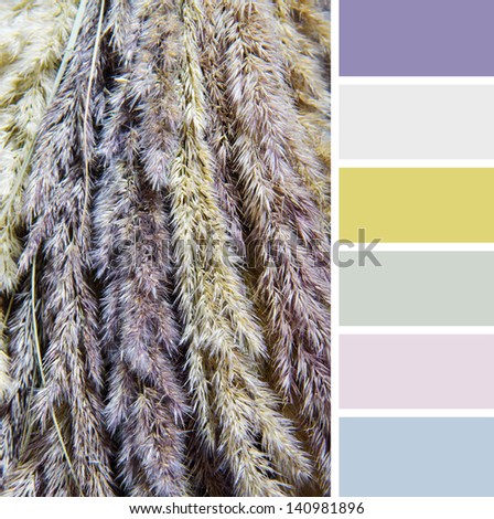 Texture of dry grass , colour palette swatches.