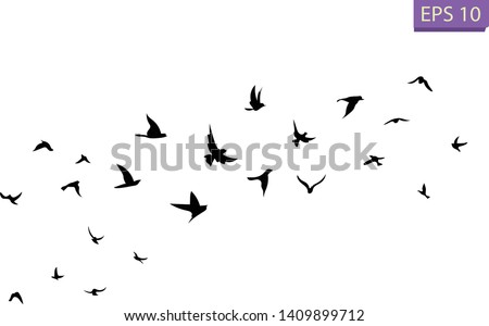 A flock of flying birds. Transparent background.