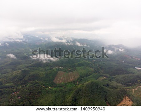 Aerial view in the rainforest with white cloud cover over the forest