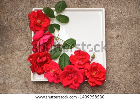 Roses with porcelain plate on concrete floor