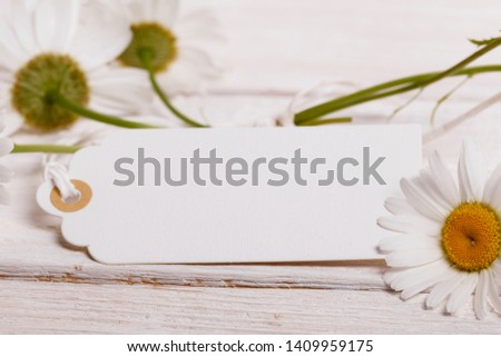 White summer daisy flowers on a white wooden background with a card for the inscription.