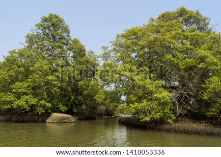 Beautiful sunny day on river in Palolem Goa India. Colorful nature and landscape. Calm, peaceful photo.