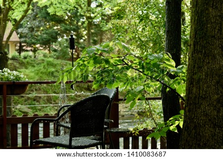 lush green plants with a wooden patio background