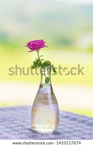 Pink roses in a glass vase with bright light, soft blur background