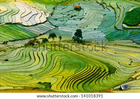 Beautiful landscape about terraced rice field in Laocai province, Vietnam Royalty-Free Stock Photo #141018391