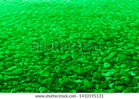 Green beach with stones and clear water
