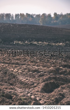 empty freshly cultivated agro field in late autumn in bright daylight with colored trees on side - vintage old film look